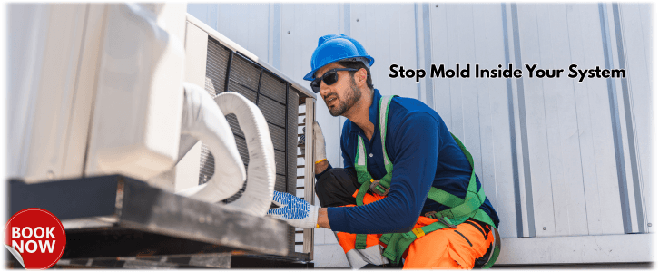 HVAC Mold Removal Sun City AZ